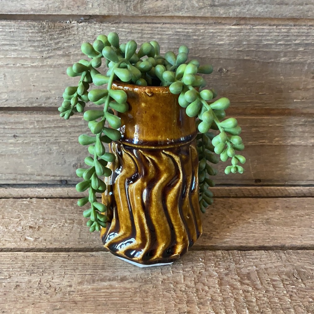 🌵Vase🌵 - Picture 3 of 5